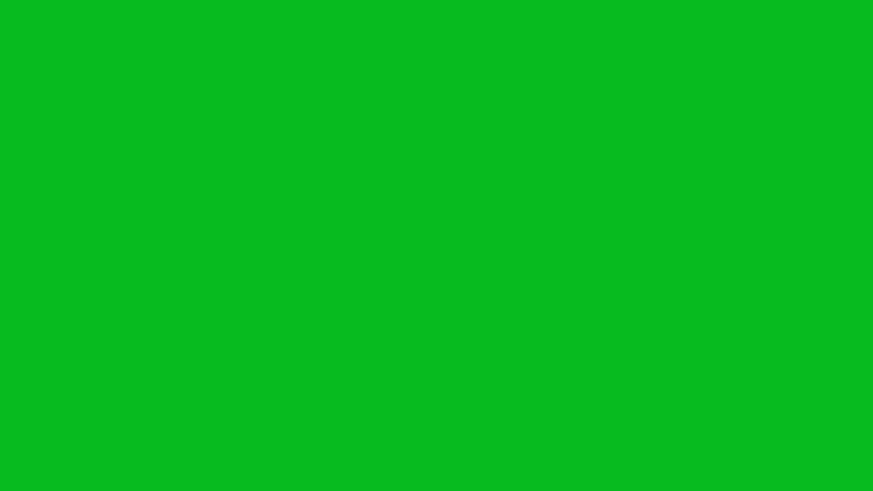 CLOVER.gif
