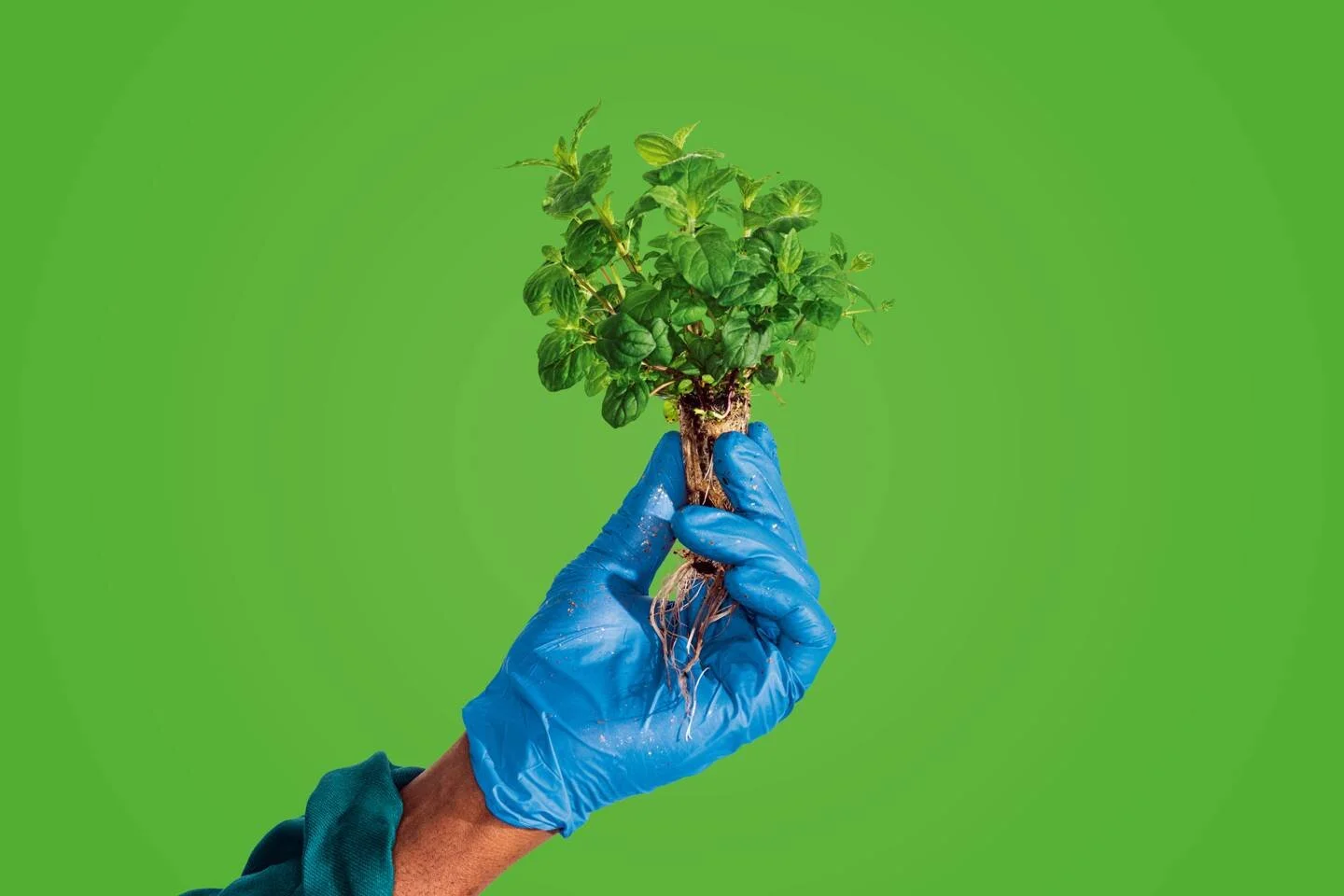 Vertical farms nailed tiny salads. Now they need to feed the world