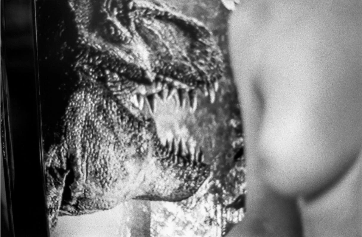 26x40_015_07 01 - Copie.jpeg