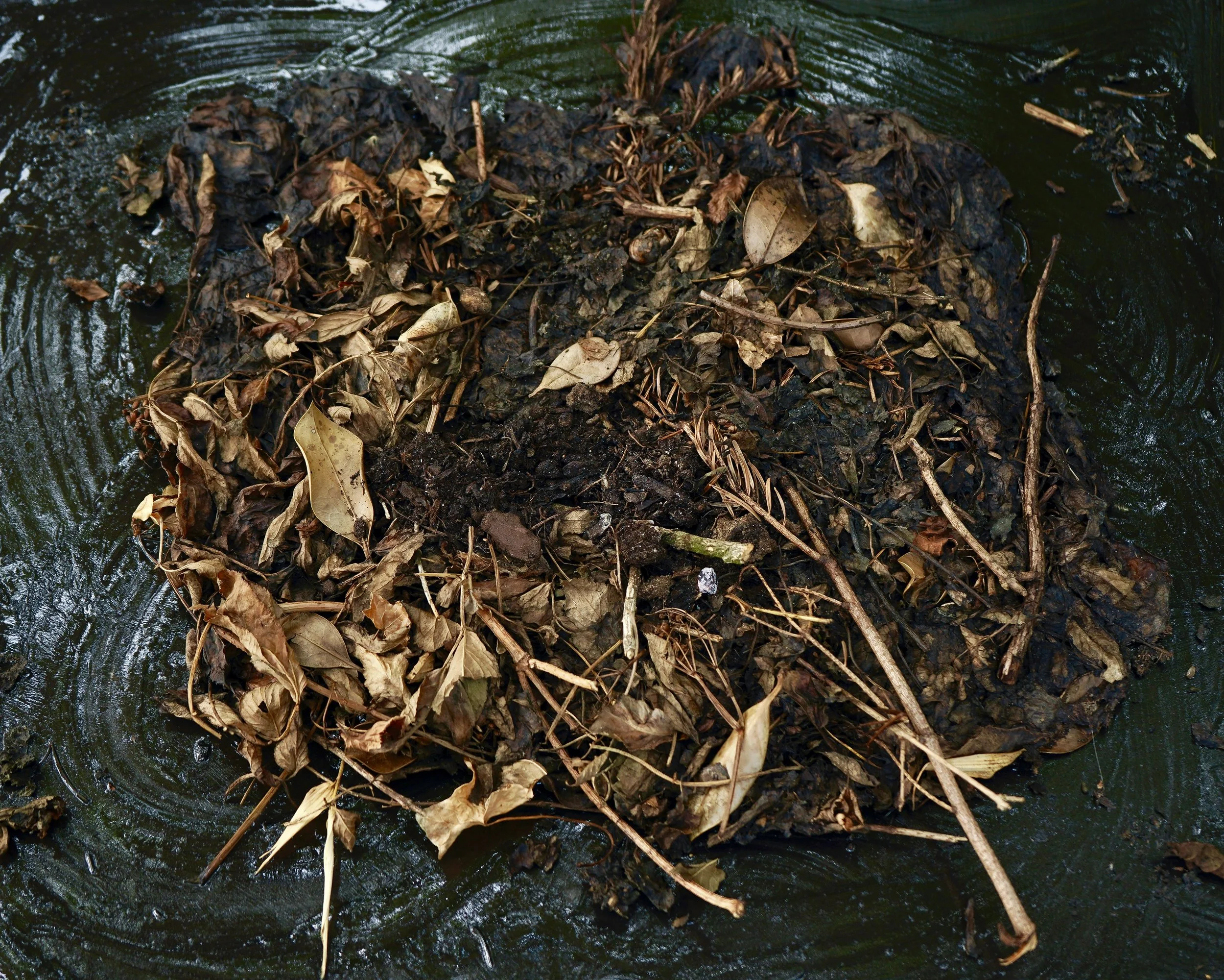 arte povera-01168 - copie.jpg