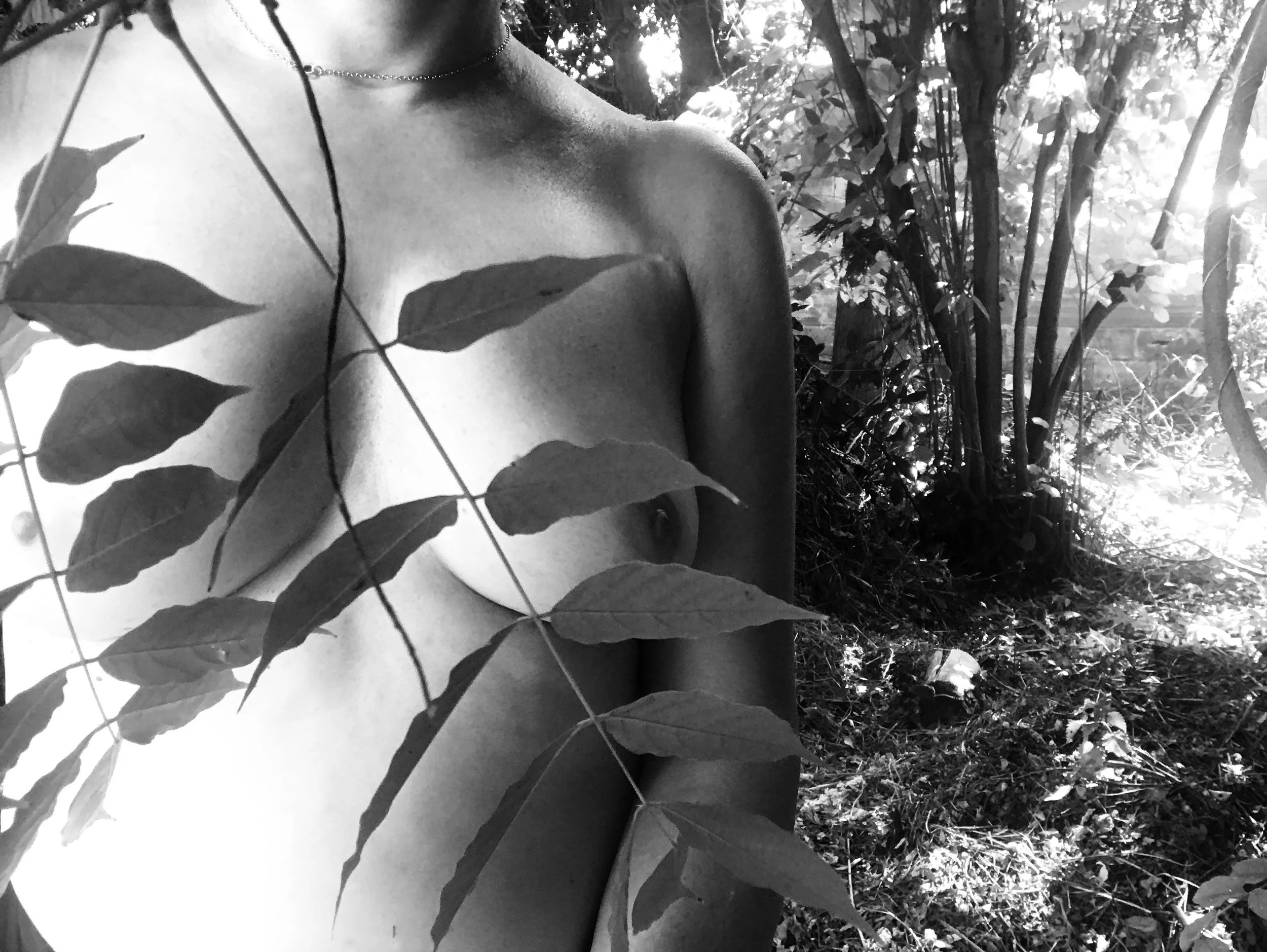 olga caldas-été- 20181.jpg