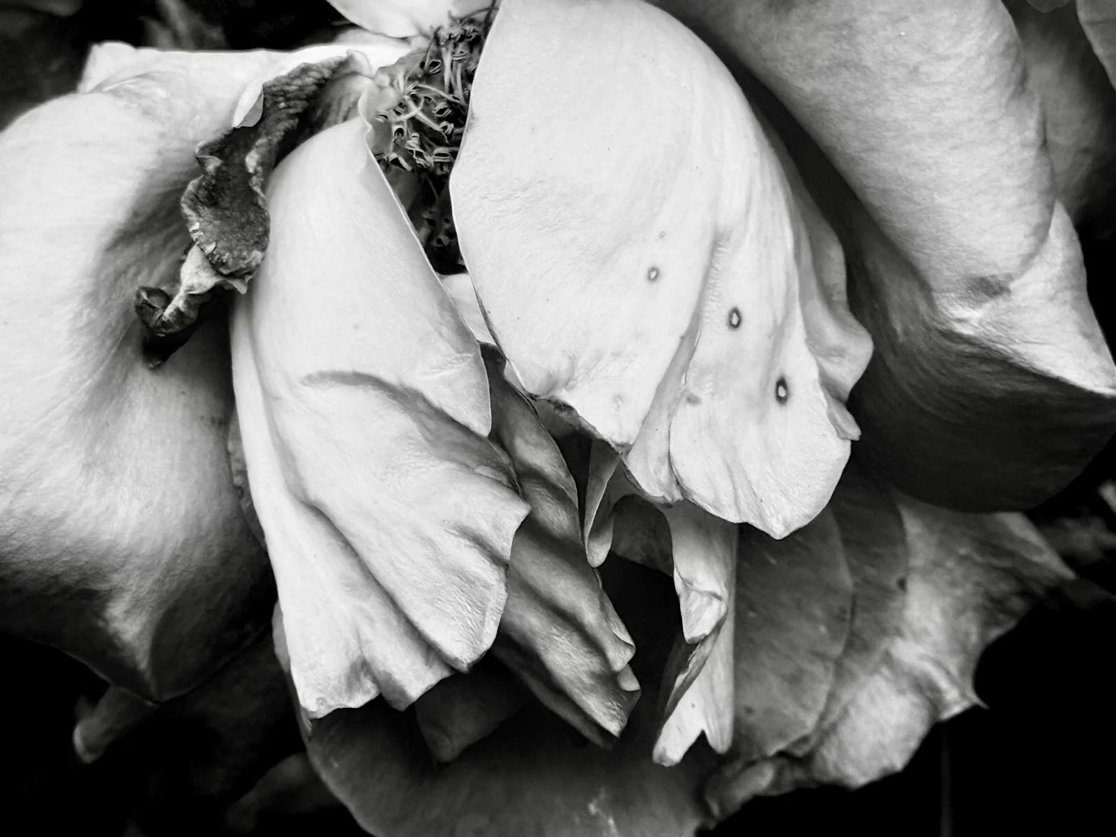 602ef77c-35d1-4ca9-a9d5-8ad83ebb7ad5.jpg