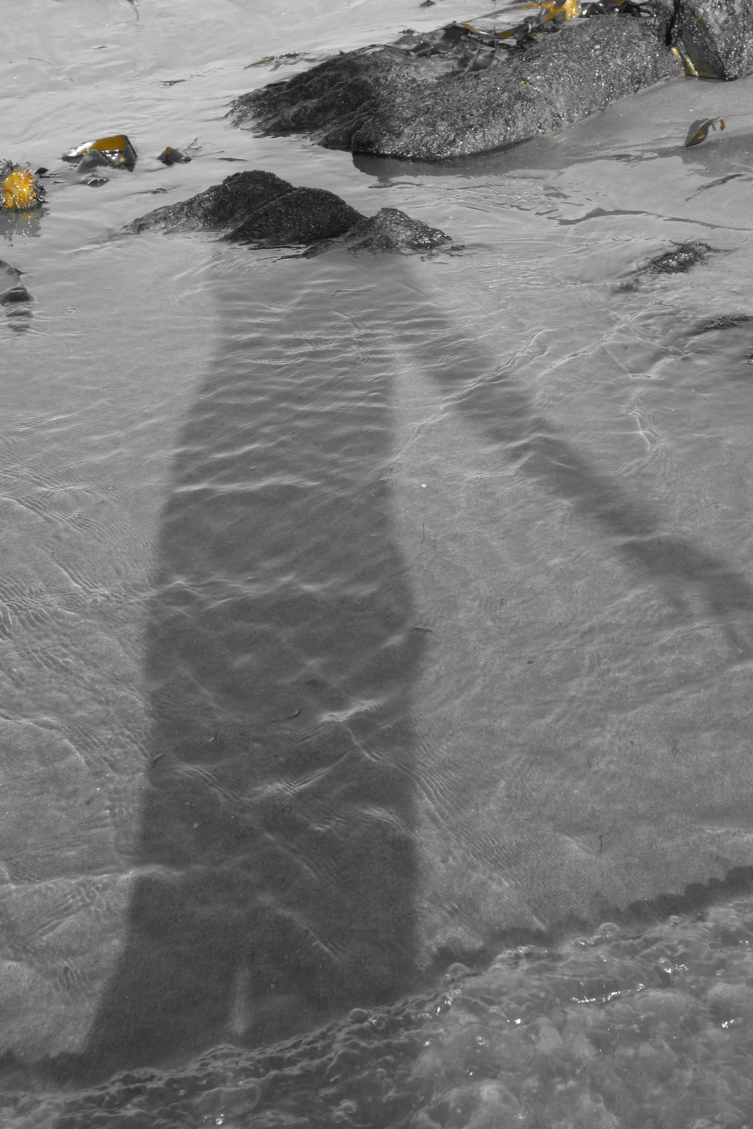 DSC00741.jpeg