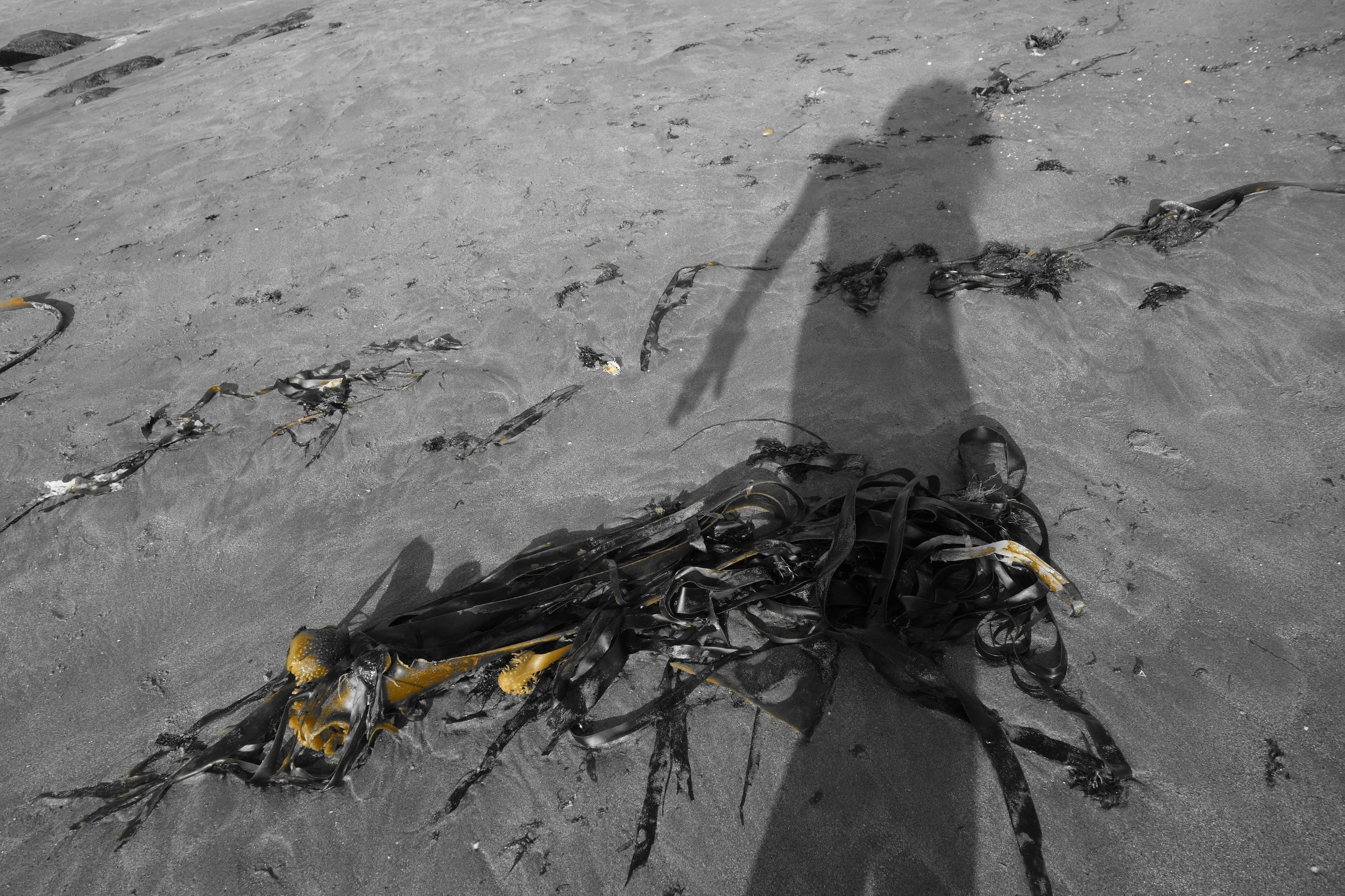 DSC00716.jpeg