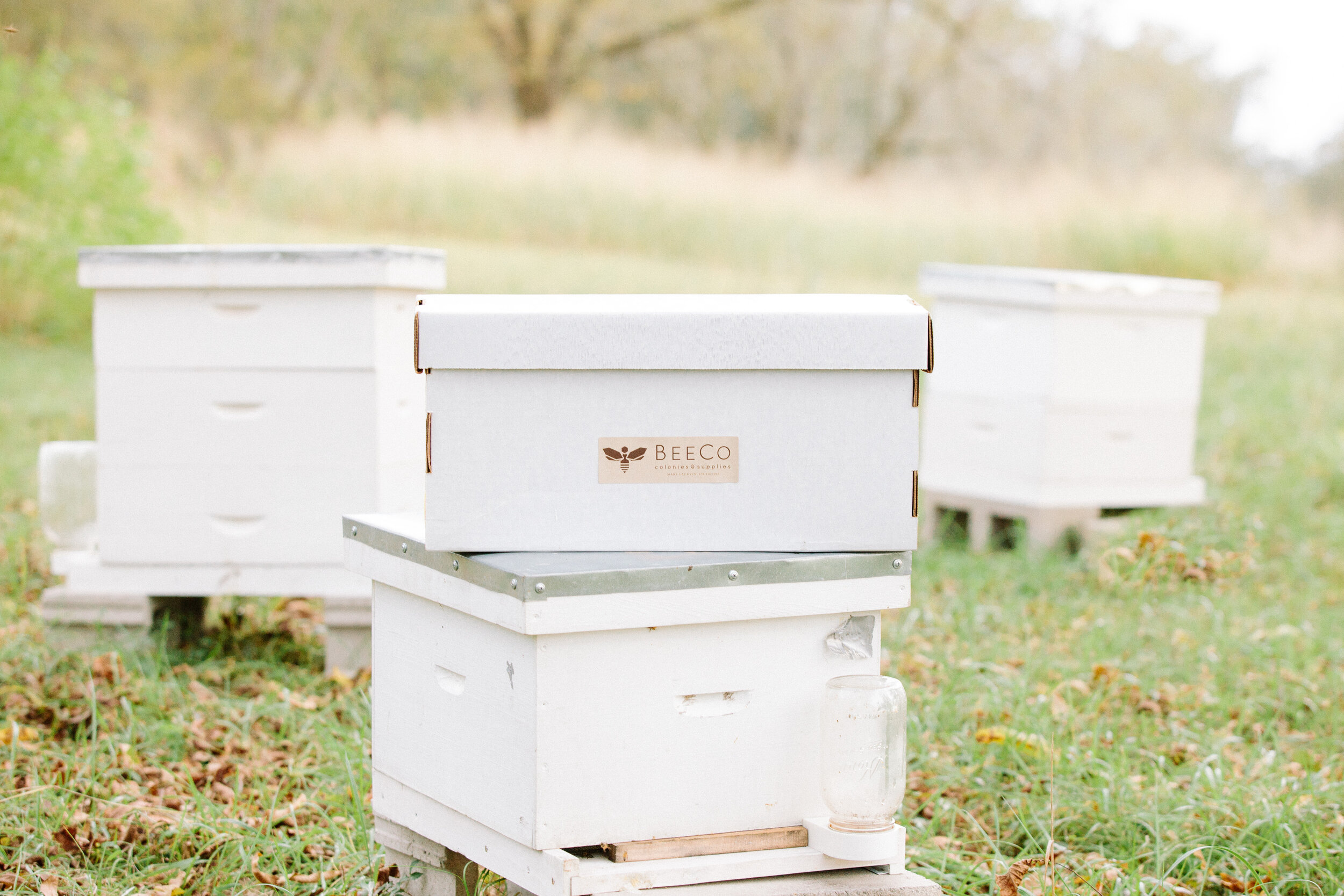 BeeCoApiaries-95.jpg