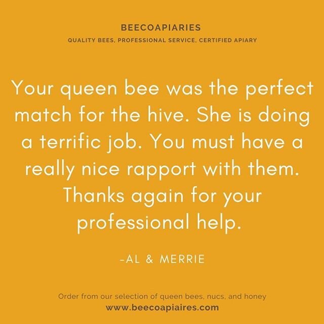 Kind words from one of our customers😊 Swipe ➡️ to see one of the newly marked BeeCo queens in the queen catcher.👸🐝 The color for 2020 is blue, as you can see by the blue dot of her back.💙 The colors rotate between white, yellow, red, green, and b