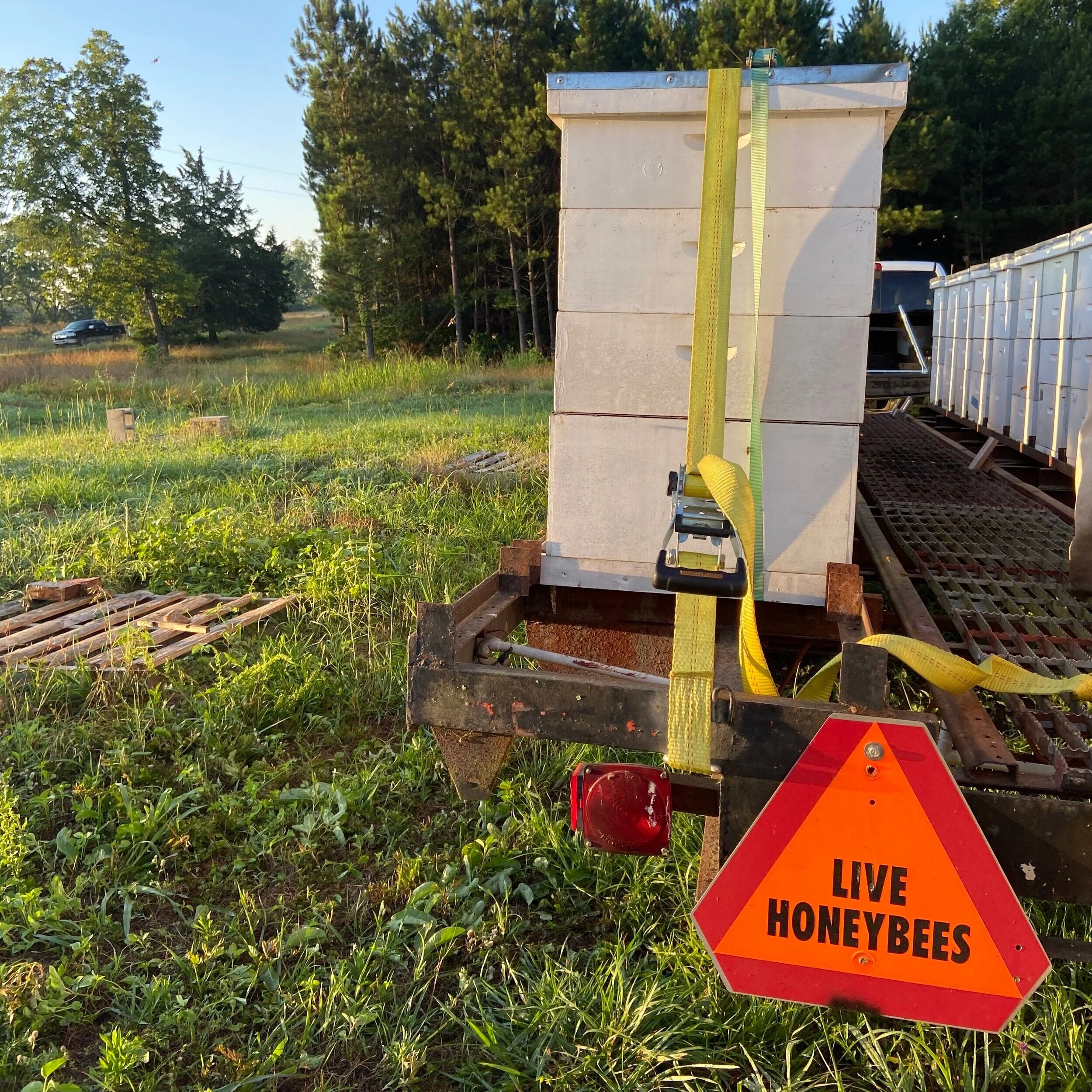 The Sourwood Flow - Part I
