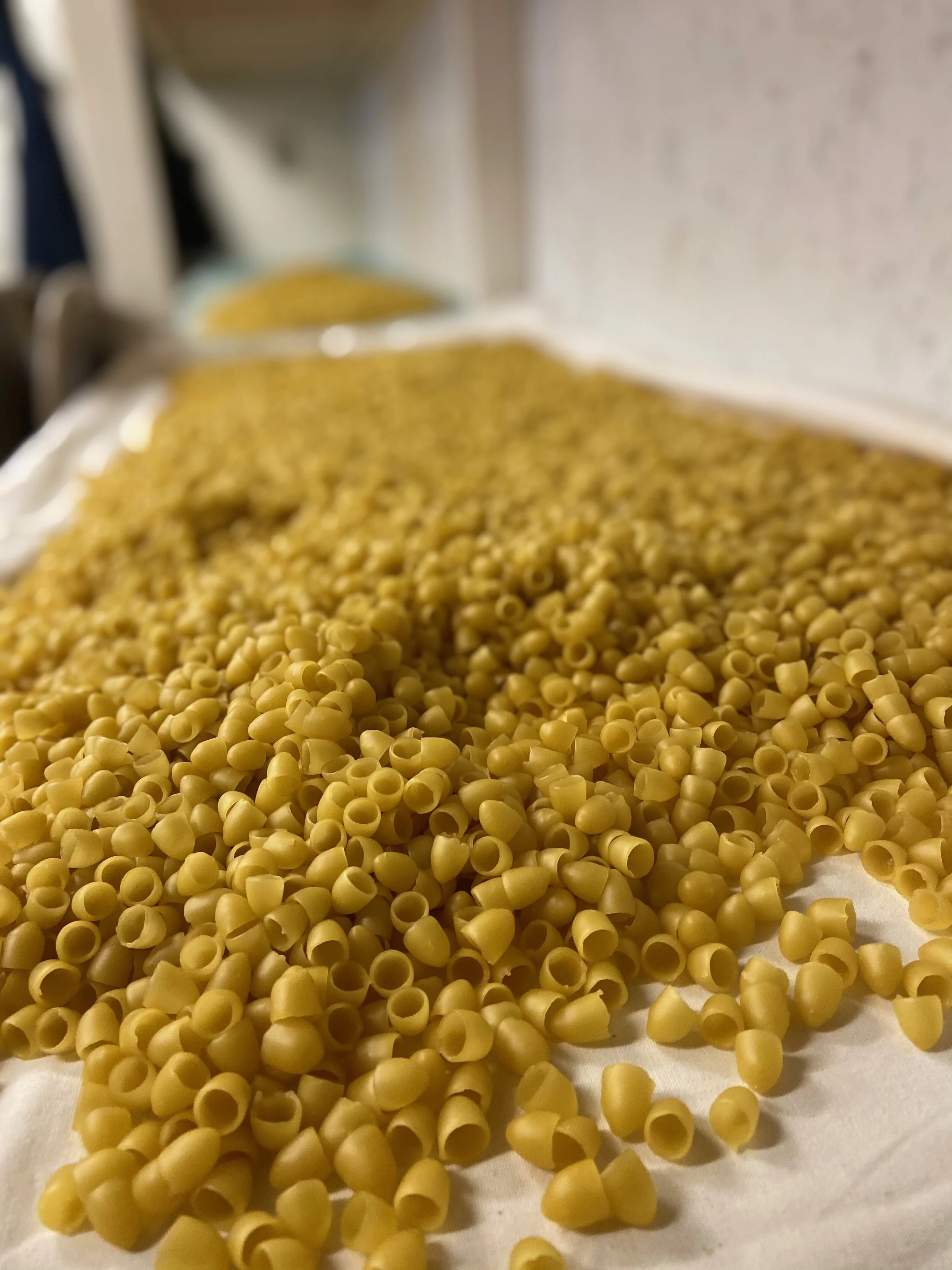 An Off-Season Visit with Commercial Beekeepers