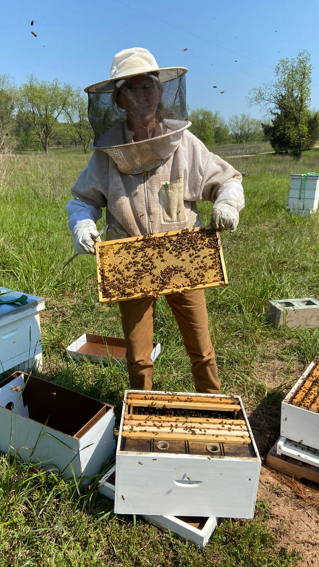 Untitled Design 2.PNG