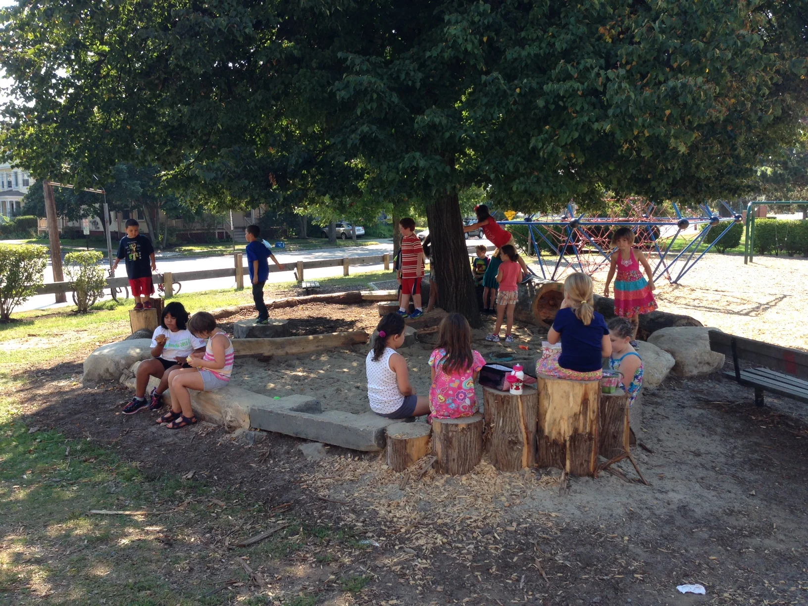 School Ground Greening Coalition