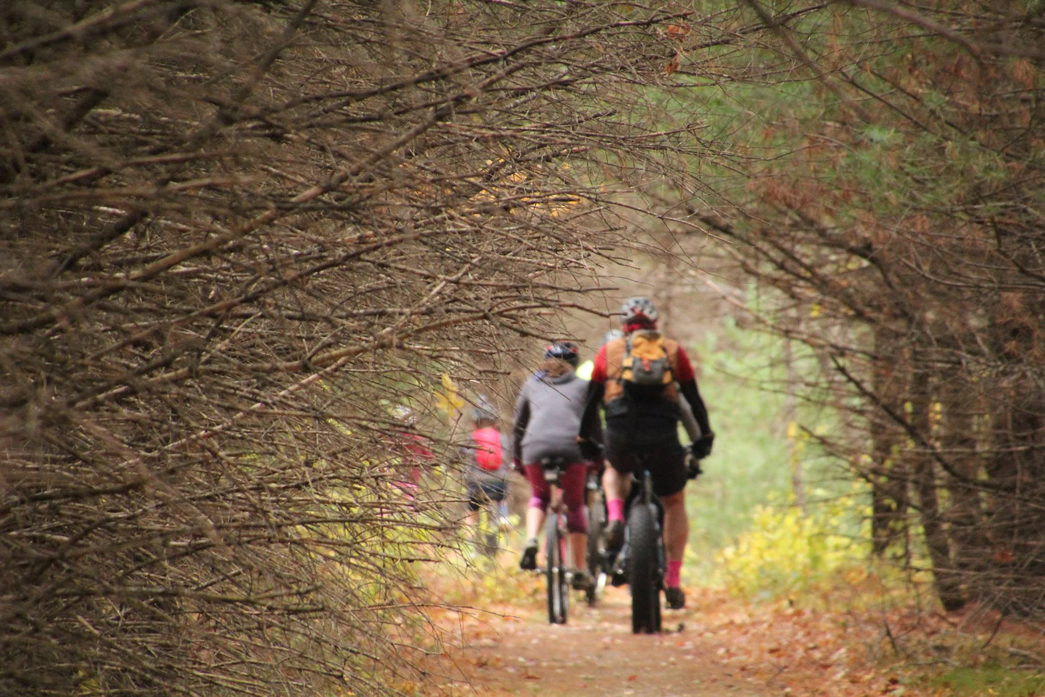 Brunswick-Topsham Land Trust