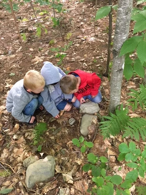 School Ground Greening Coalition