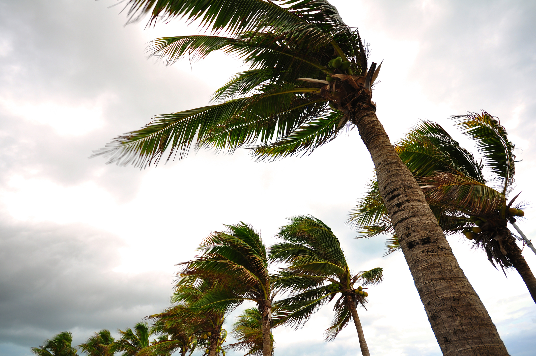 Photo by behindlens/iStock / Getty Images