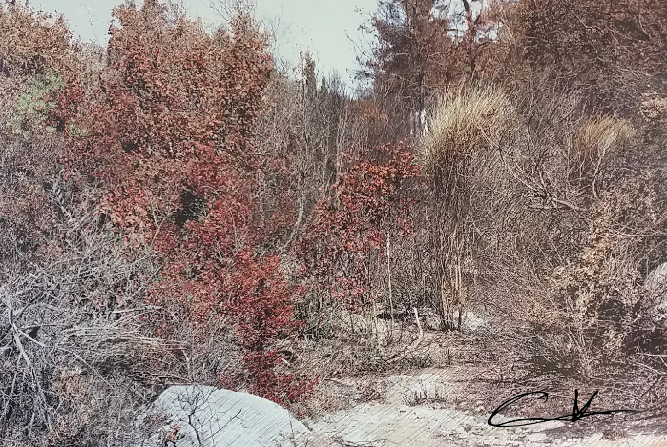 Christos Koutsouras, Image 05731, photo and pencil, 50 3/4" x 90"