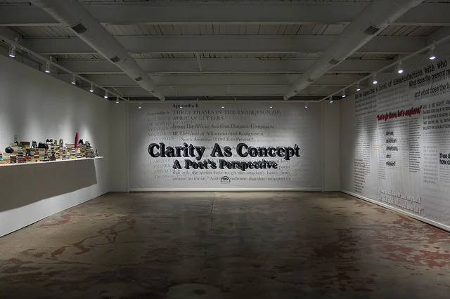 Install shot from Mari Evans: Carl Pope , photo by Kurt Nettleton.