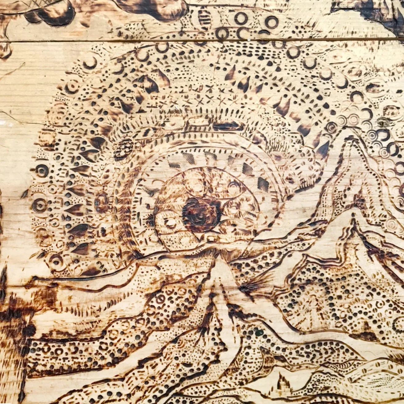 Pan Endemic Series: Nasreen Khan-Small Rebellions