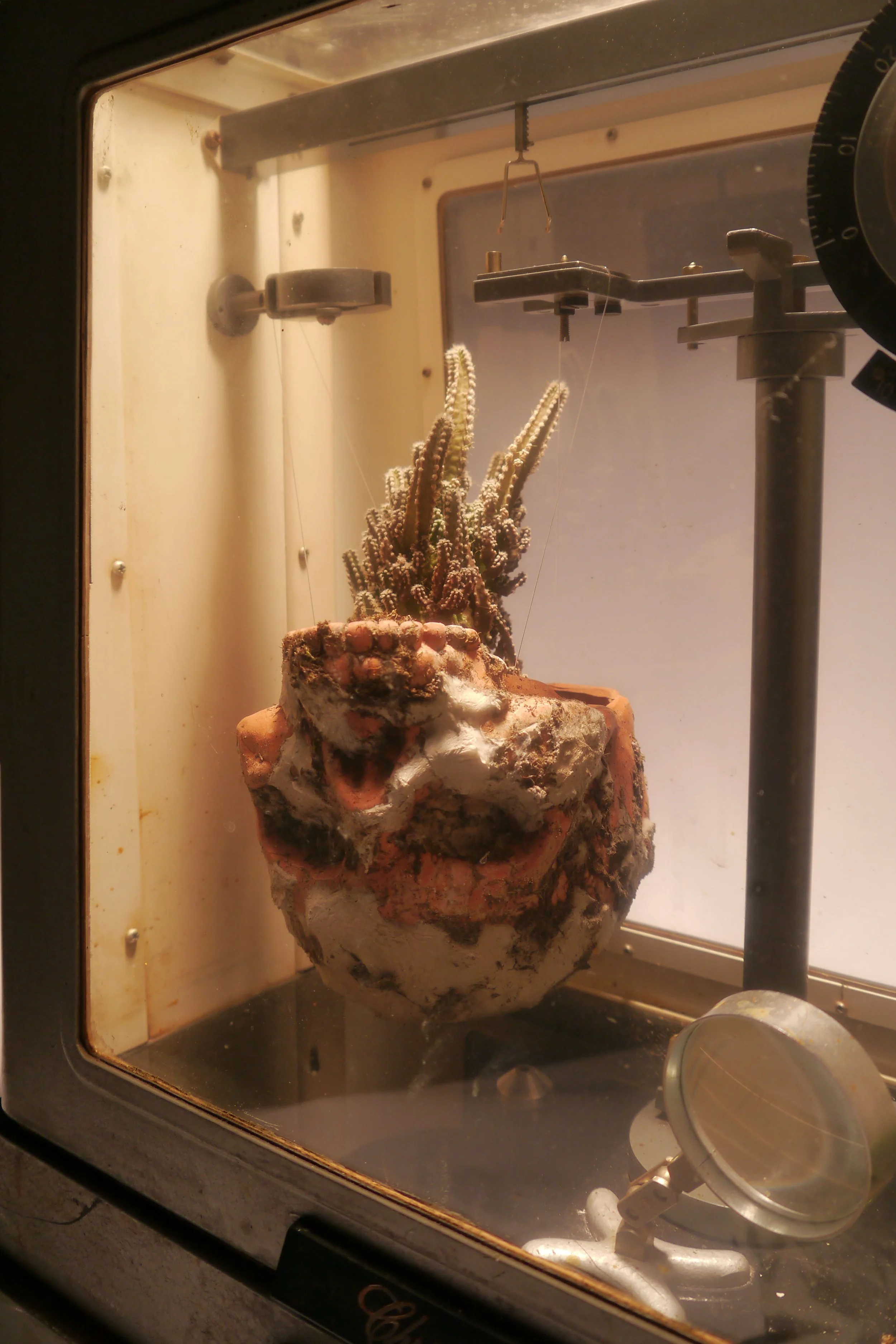 Jason Gray: Cthutopia