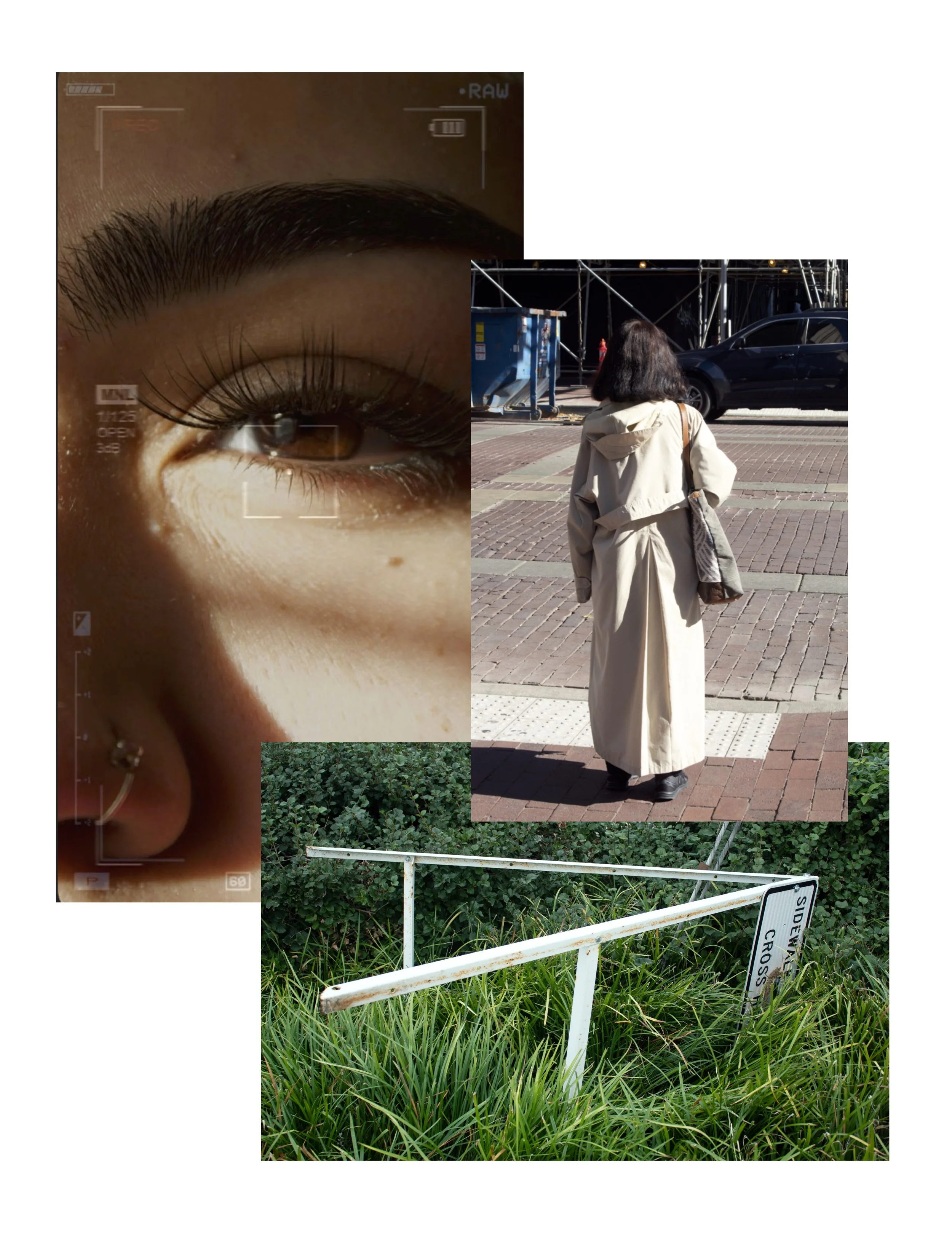 Miera Thoroughgood: Through My Eyes: A multimedia archive