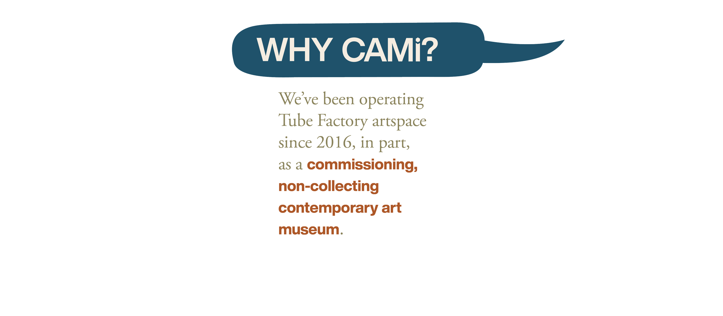 Slide-CAMi-desktop7.png