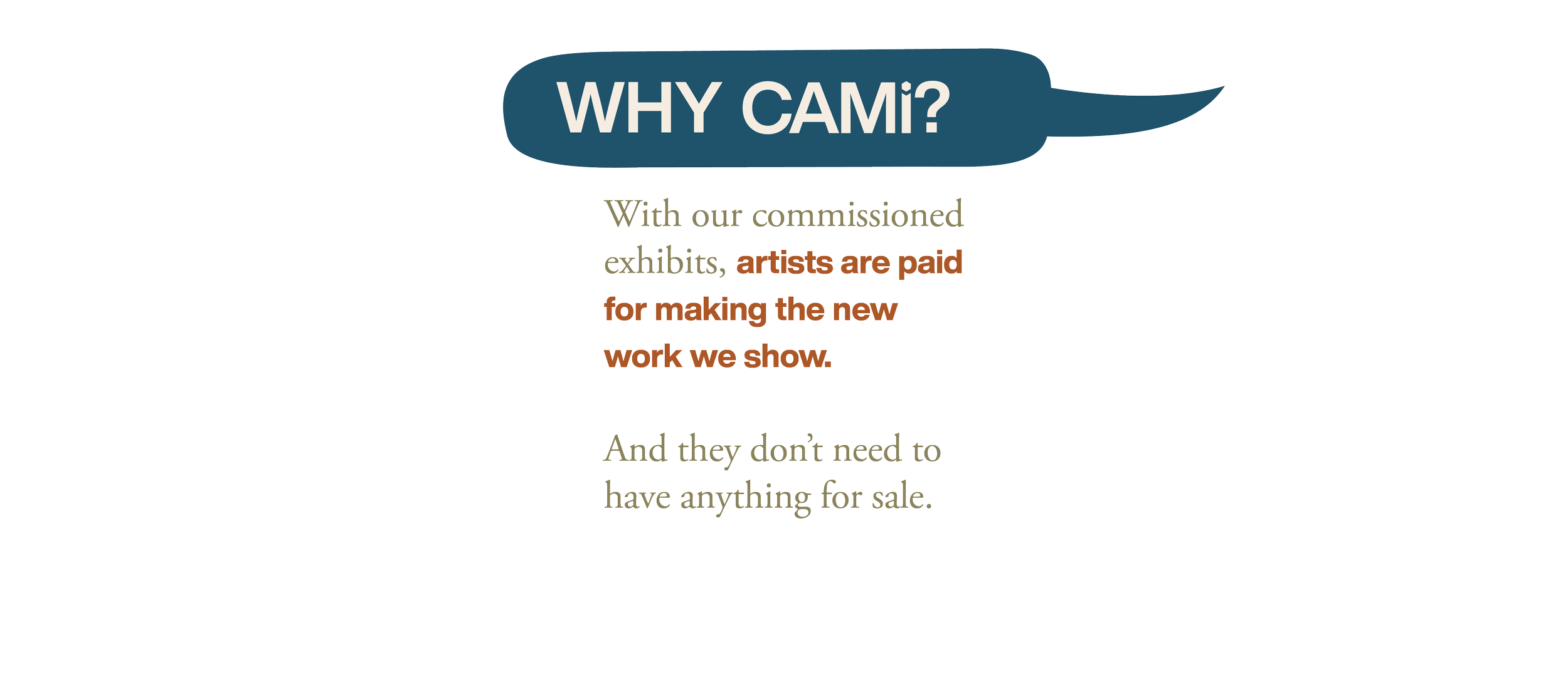 Slide-CAMi-desktop9.png