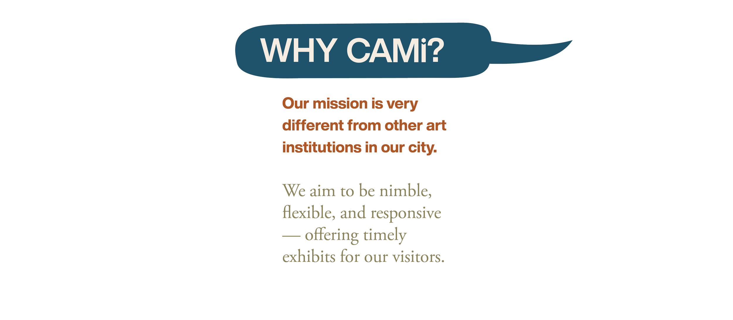 Slide-CAMi-desktop10.png
