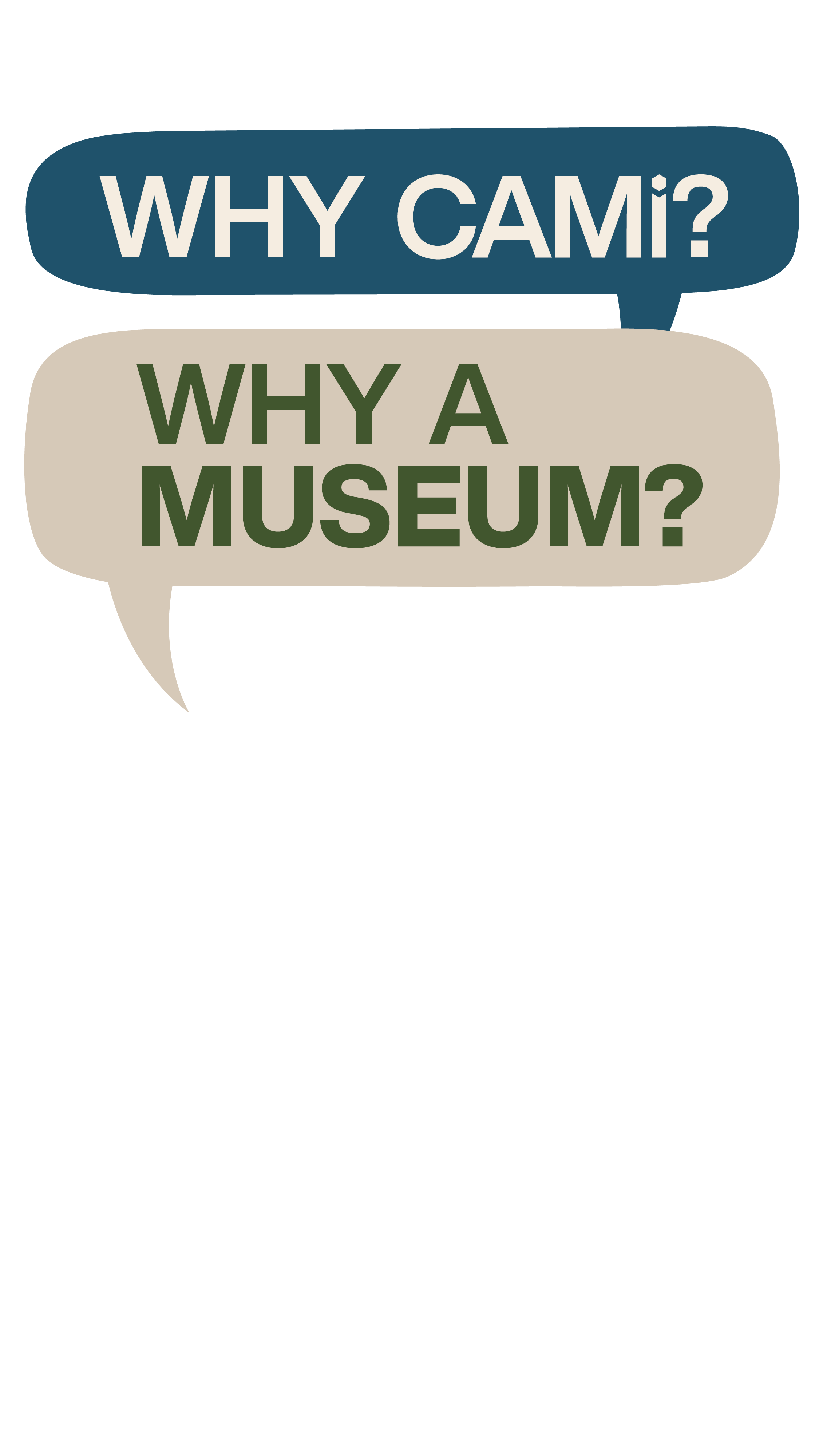 Slide-CAMi-mobile11.png