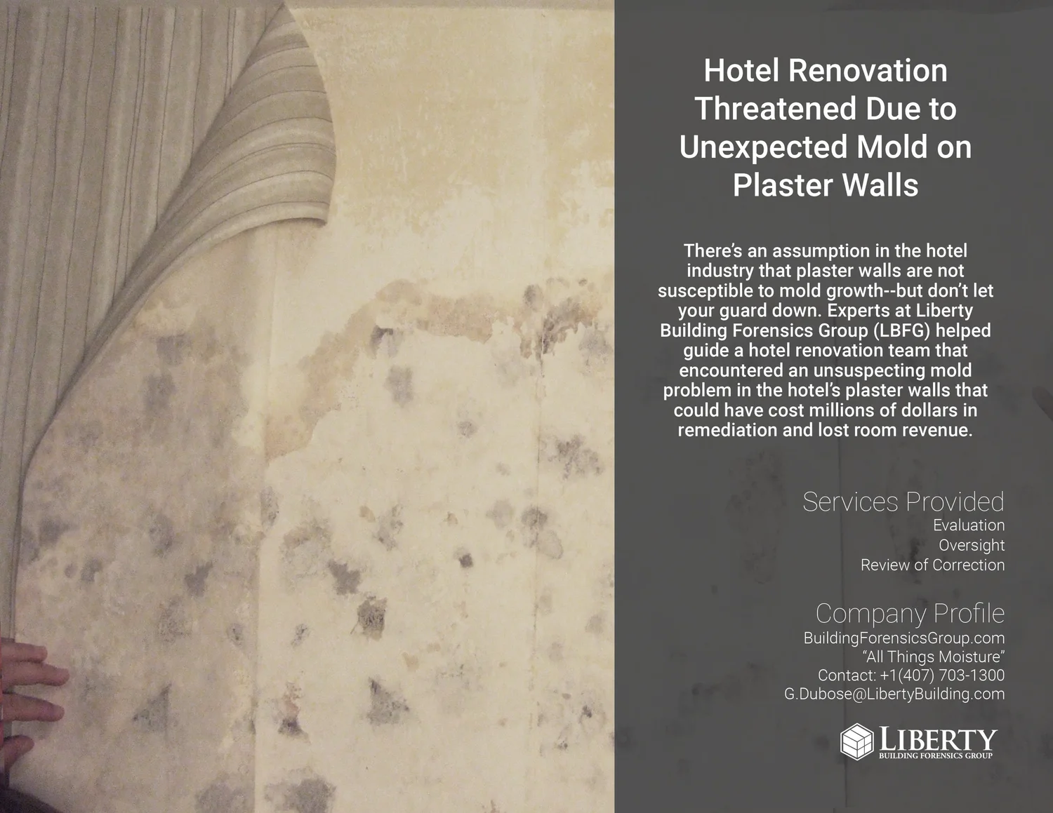 Hotel Renovation Threatened Due To Unexpected Mold On Plaster Walls Liberty Building Forensics Group Building Mold Moisture Experts Hotel Renovation Threatened Due To Unexpected Mold On Plaster Walls Liberty Building Forensics Group Building Mold Moisture Experts