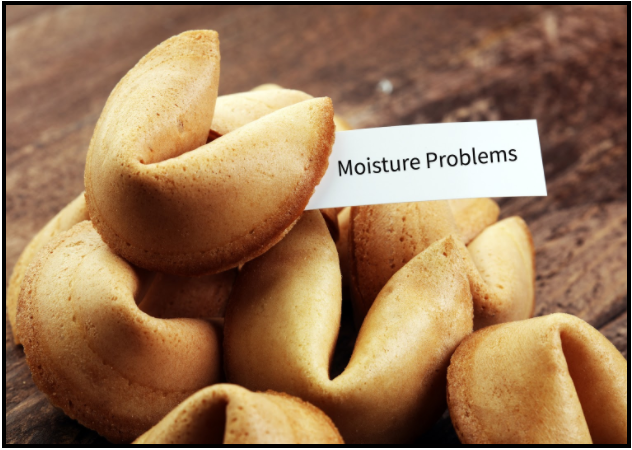 fortune cookies.png