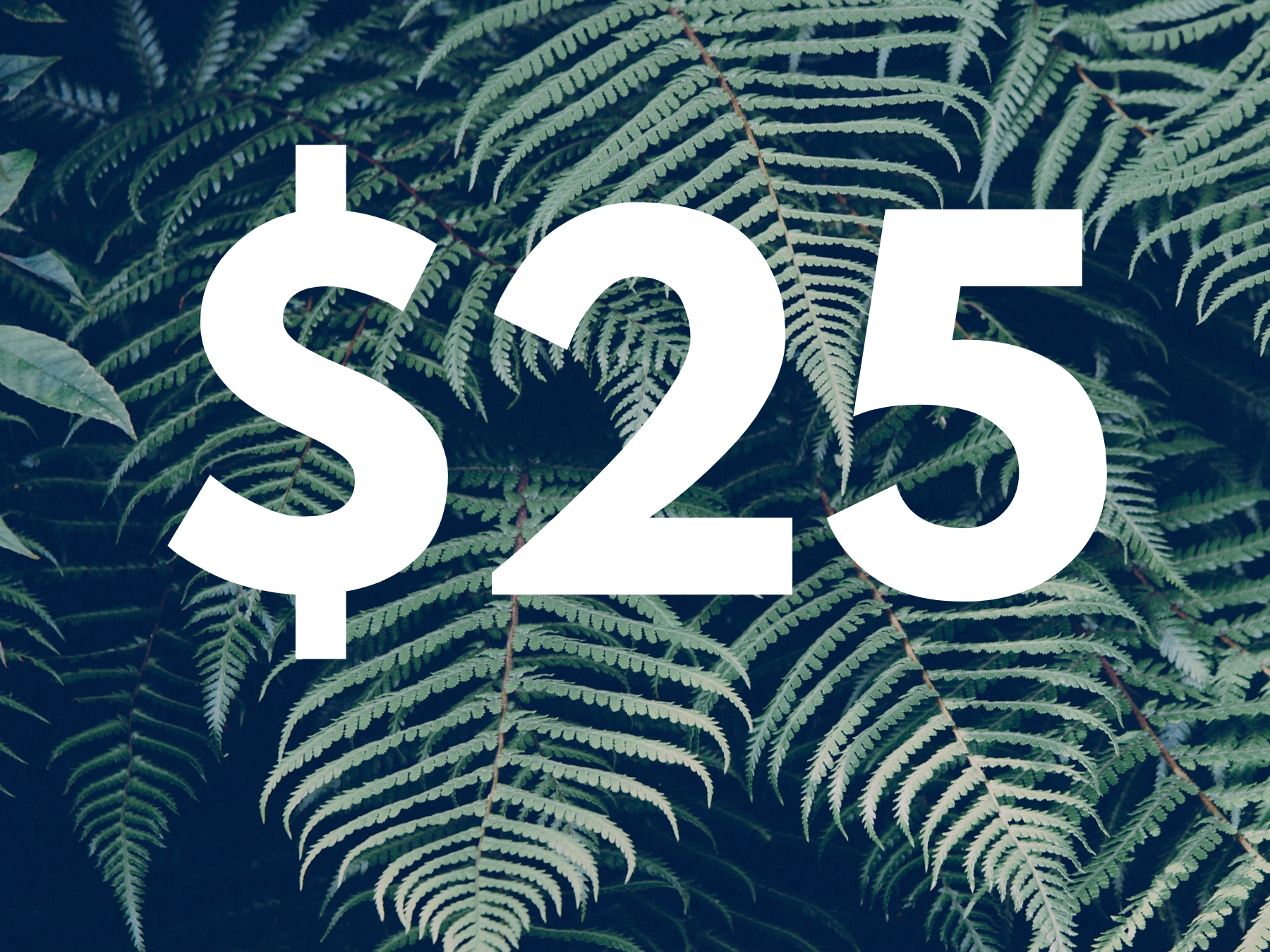 $25 Gift Certificate