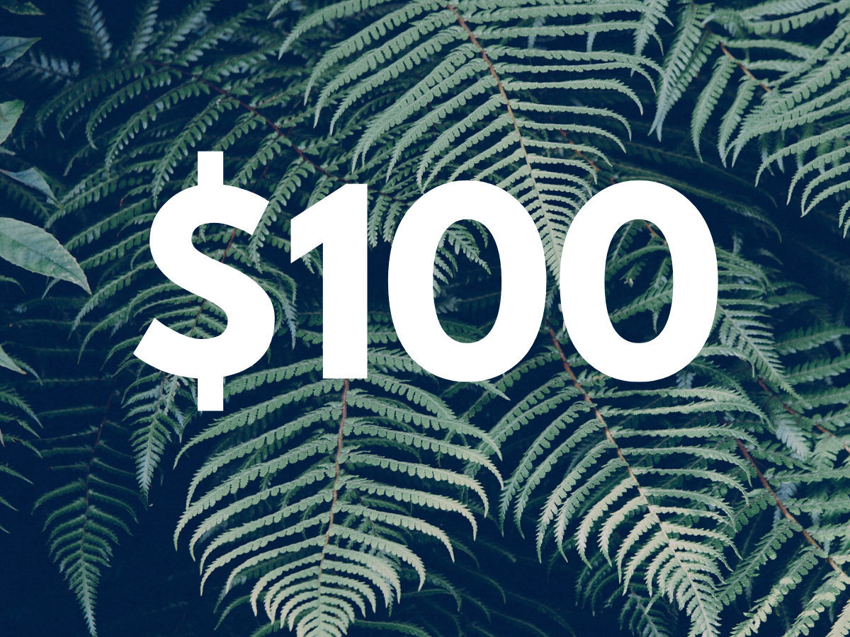 $100 Gift Certificate