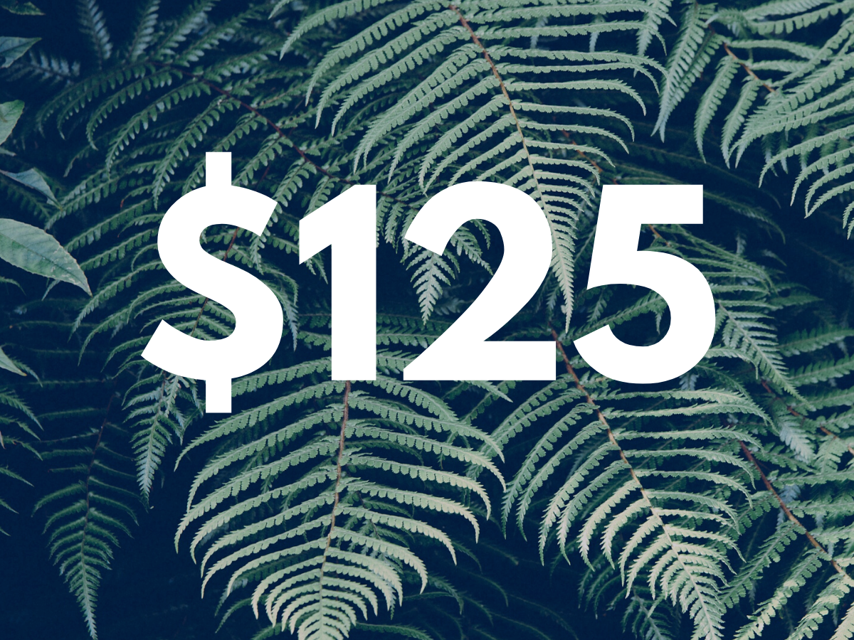 cold, sooth & tasty..png