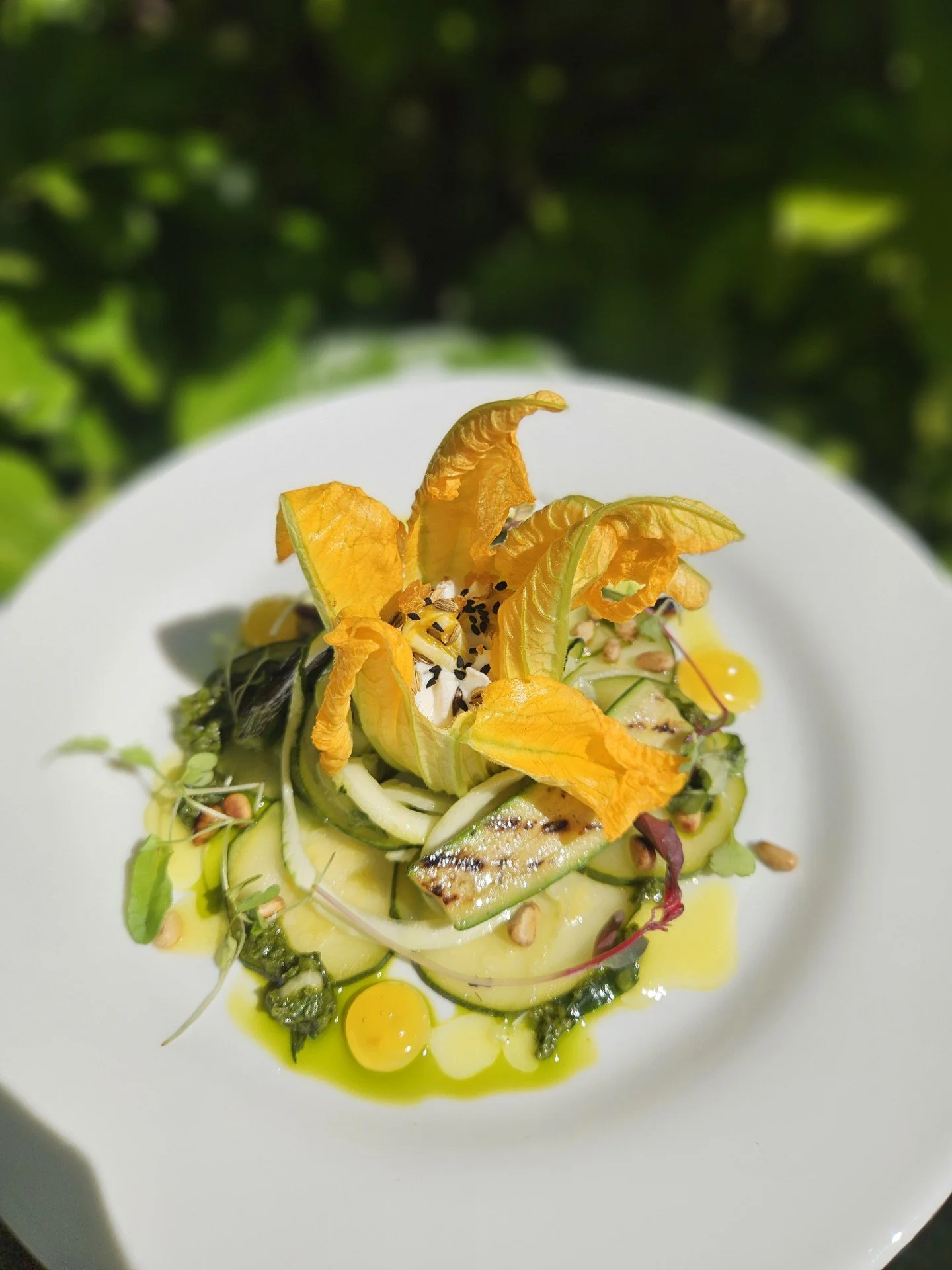 CourgetteFlower3.jpeg