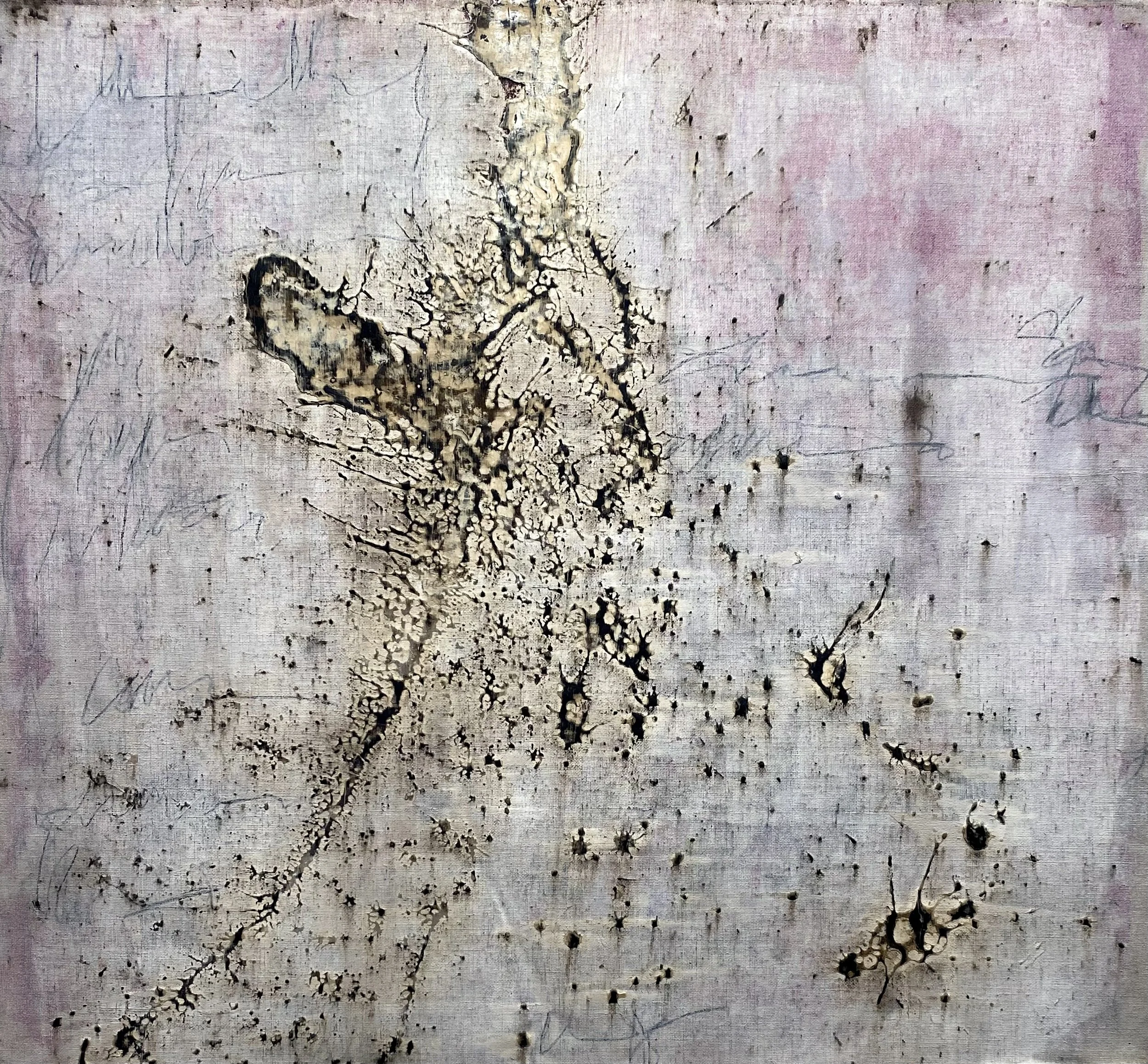 An Immense World.jpeg