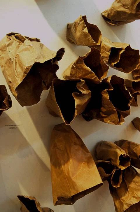 #13 Brown Vessels.jpg