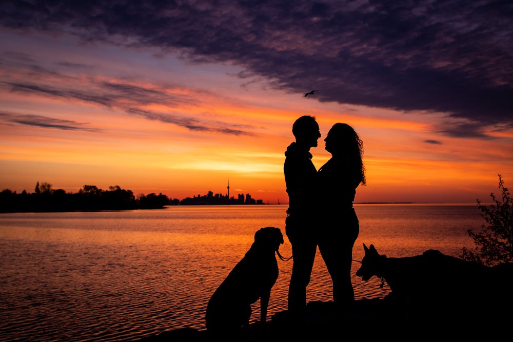 sunrise-dog-engagement-photos.jpg