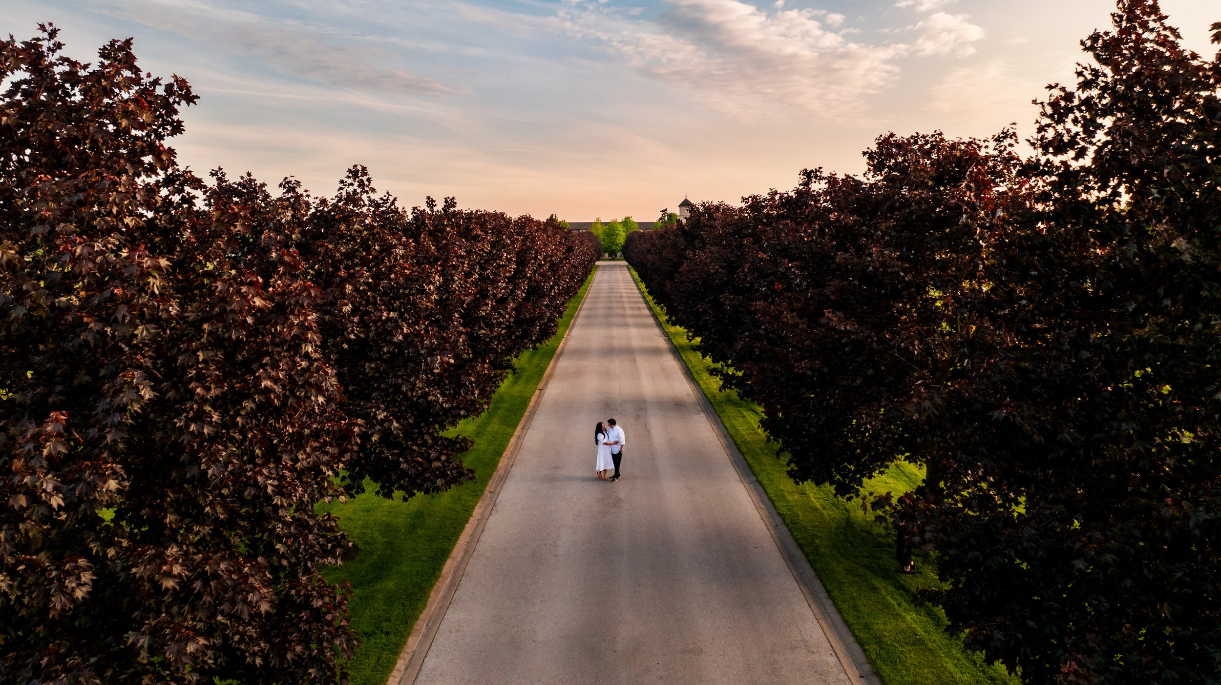 Drone engagement photo Niagara on the Lake tree lined road couple