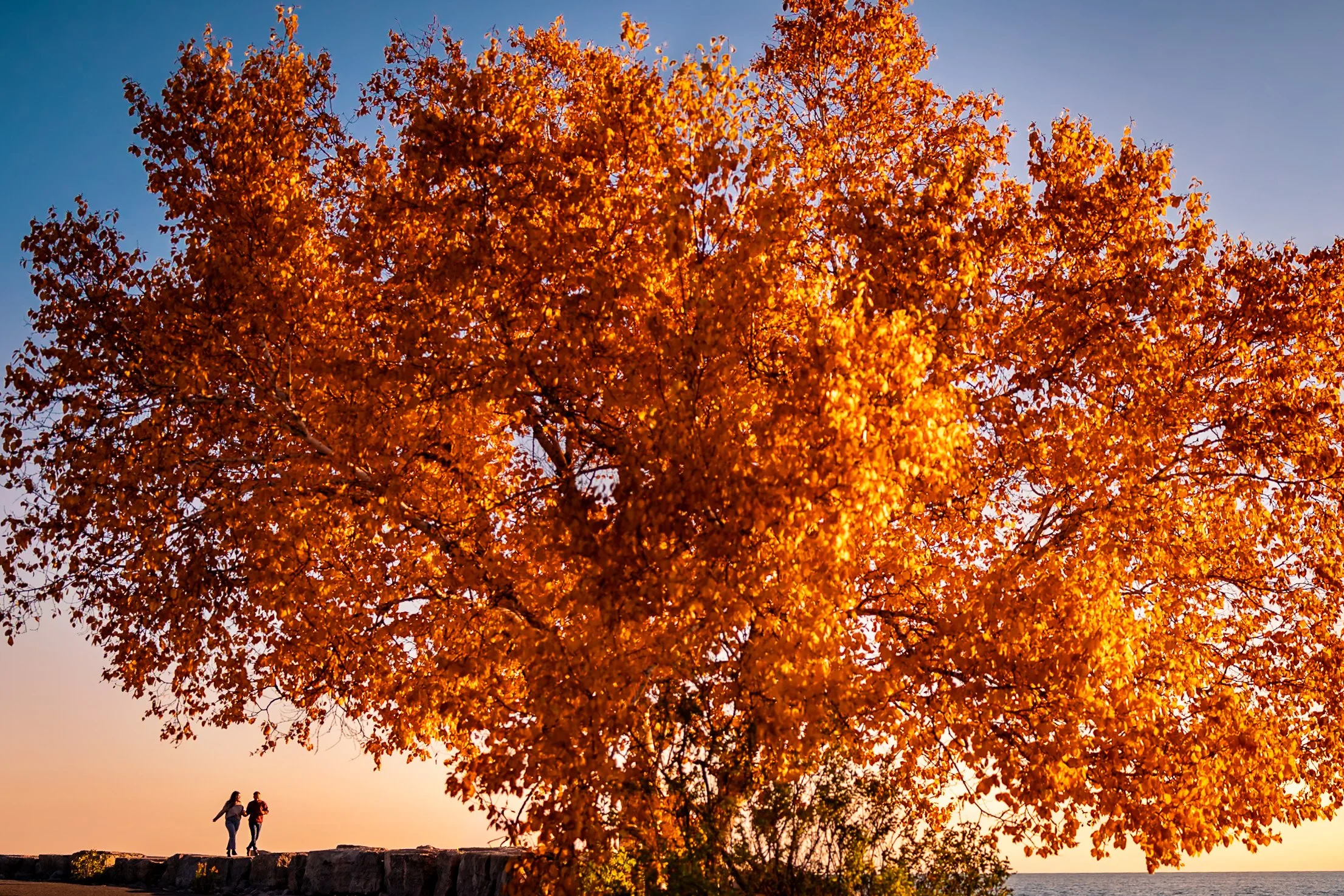 creative-fall-couples-photography-diego-moura.jpg