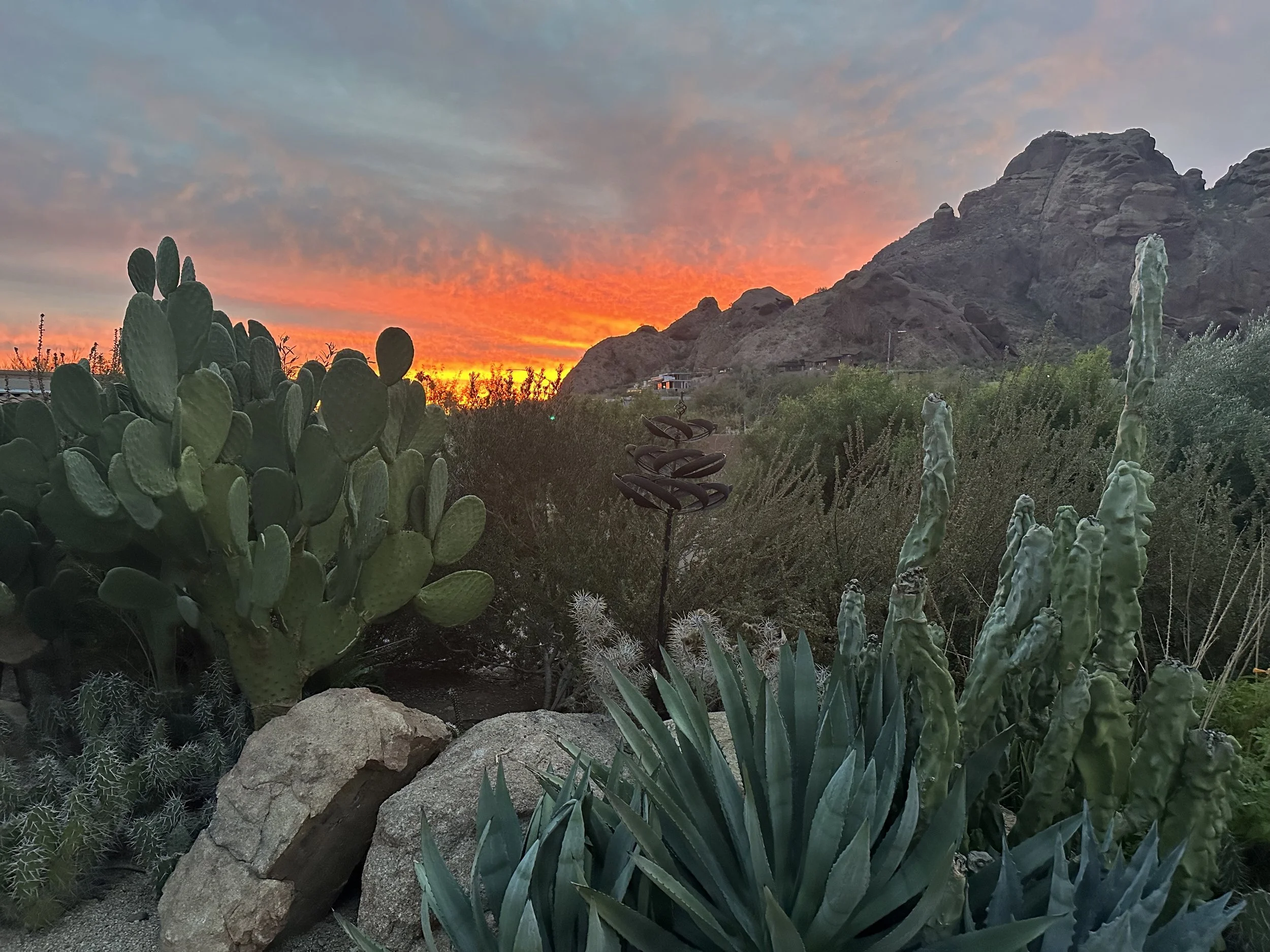 NEWS YOU CAN USE - May 2024