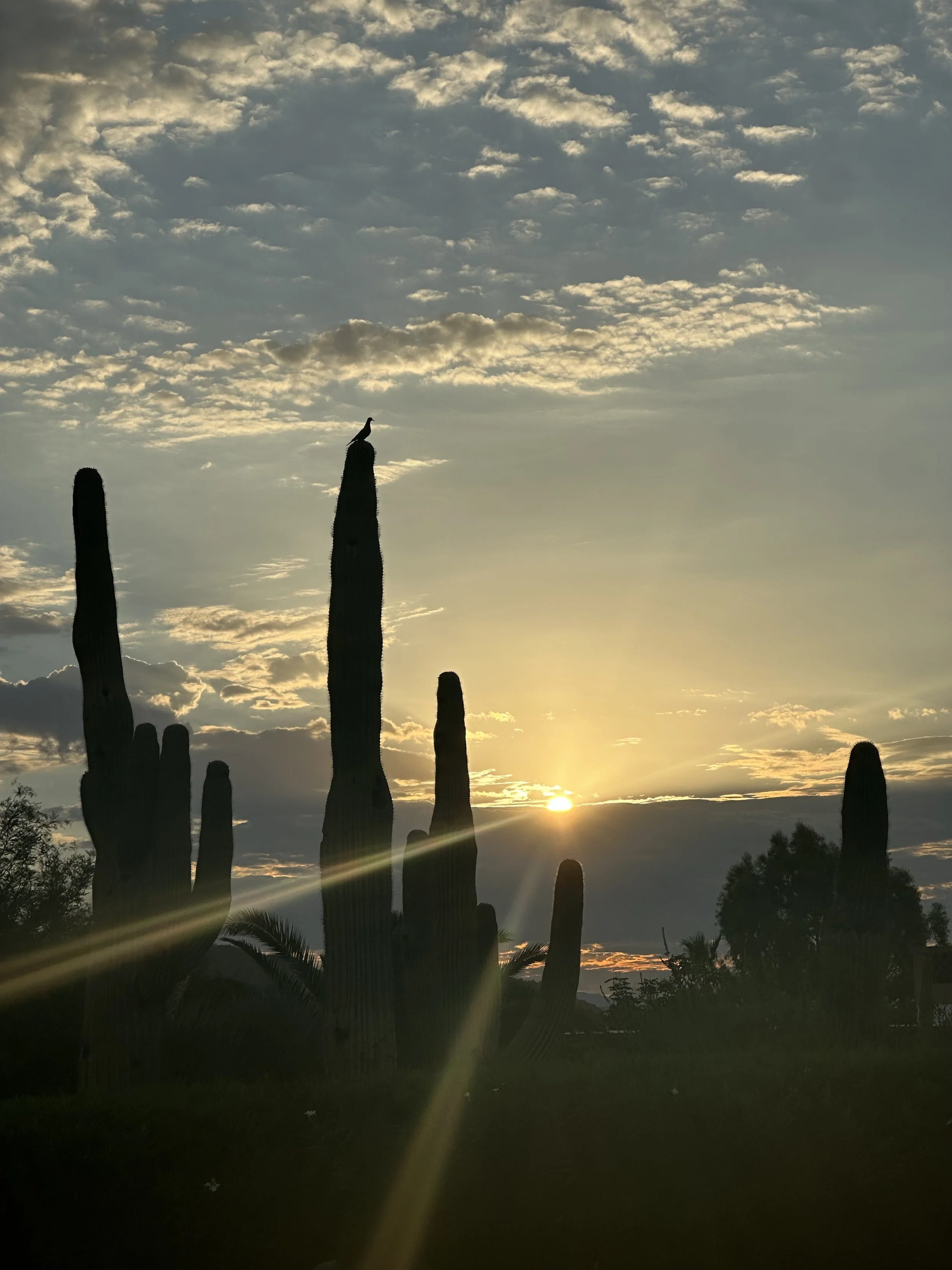 NEWS YOU CAN USE - June 2024