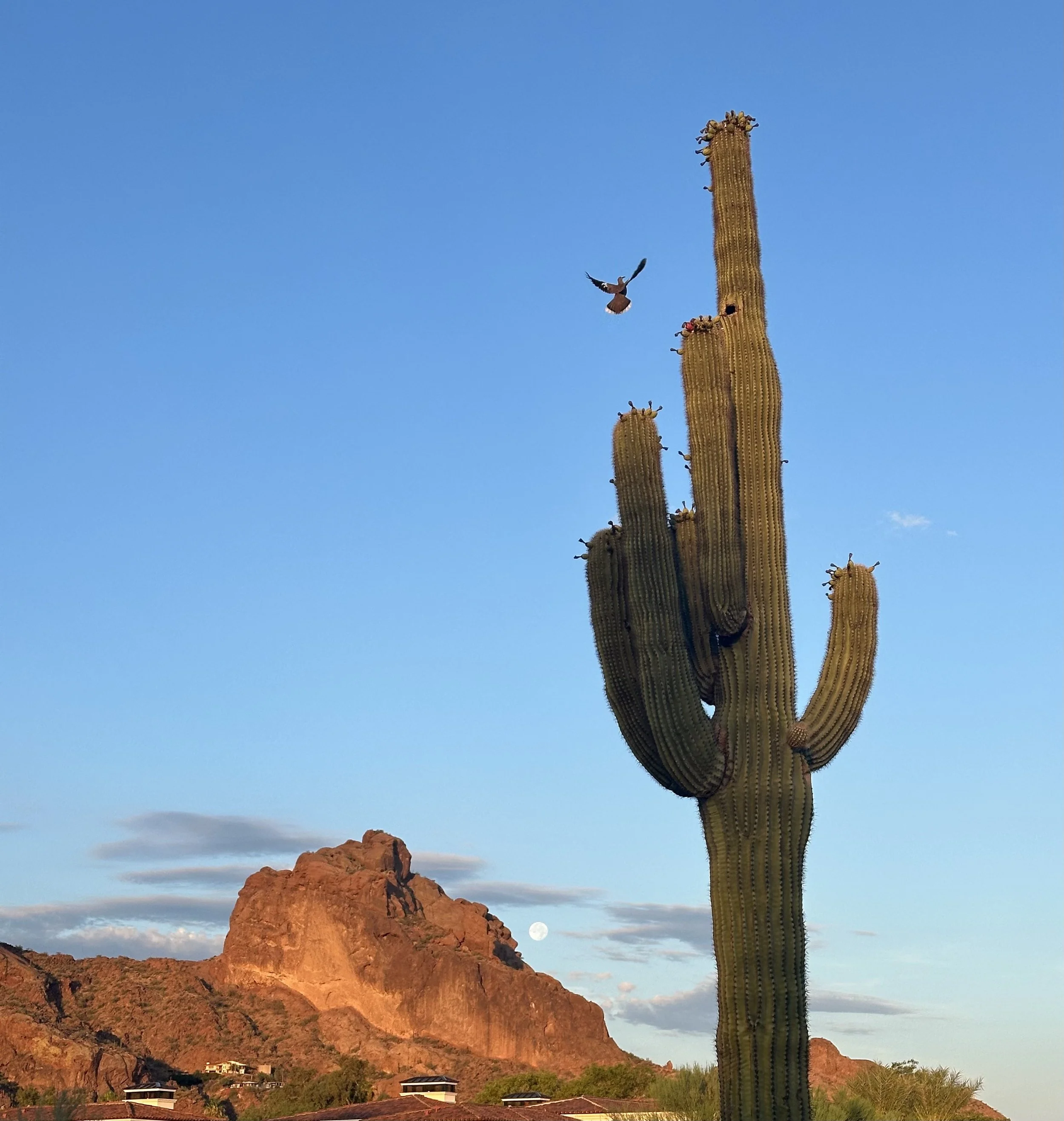      

 
   Greetings from Arcadia Women’s Wellness  &nbsp;  NEWS YOU CAN USE - July 2024    Metabolism &amp; Menopause    OK, so the biggest question I am hit with from social media and patients regarding  weight/body composition changes in perimeno