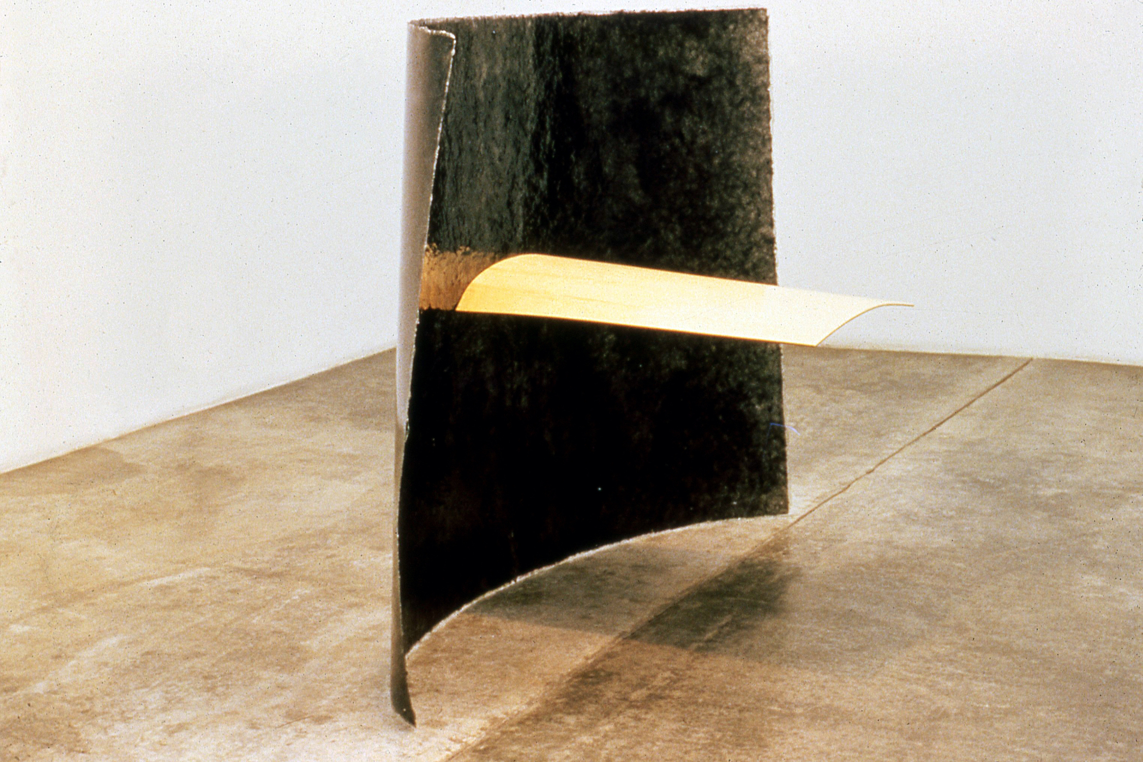  Levity (1998), synthetic polymer resin, pigment and wood 