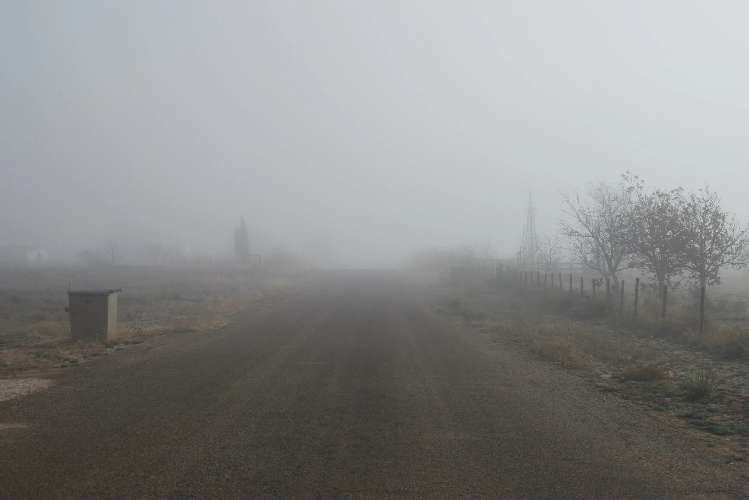 DSC_4614.jpg