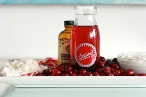 Winter Smoothie5