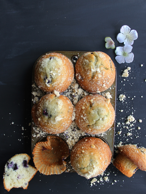 blueberry3