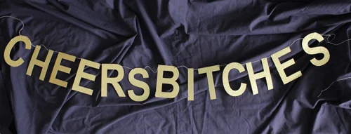 Banner - Cheers Bitches (4)