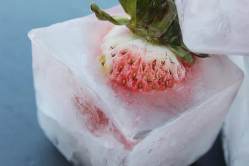 fruit ice12