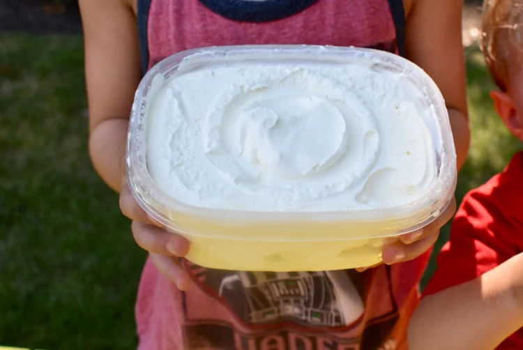 ice cream4