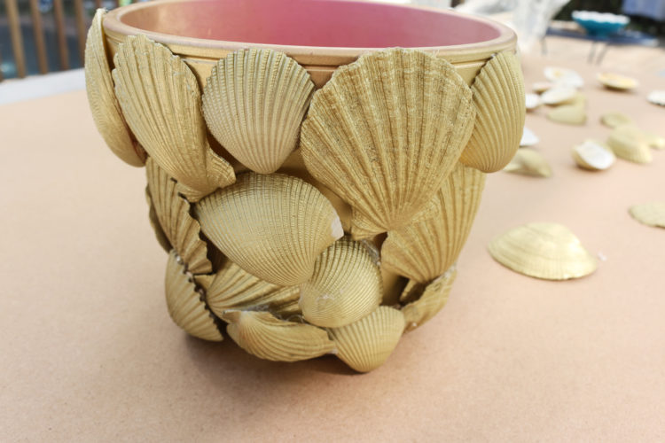 DIY with LMP: Seashell Flower Pot — Little Miss Party