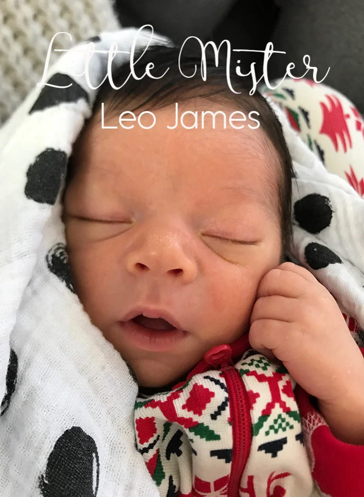 leo