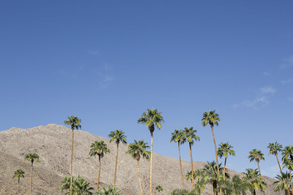 Party in Palm Springs